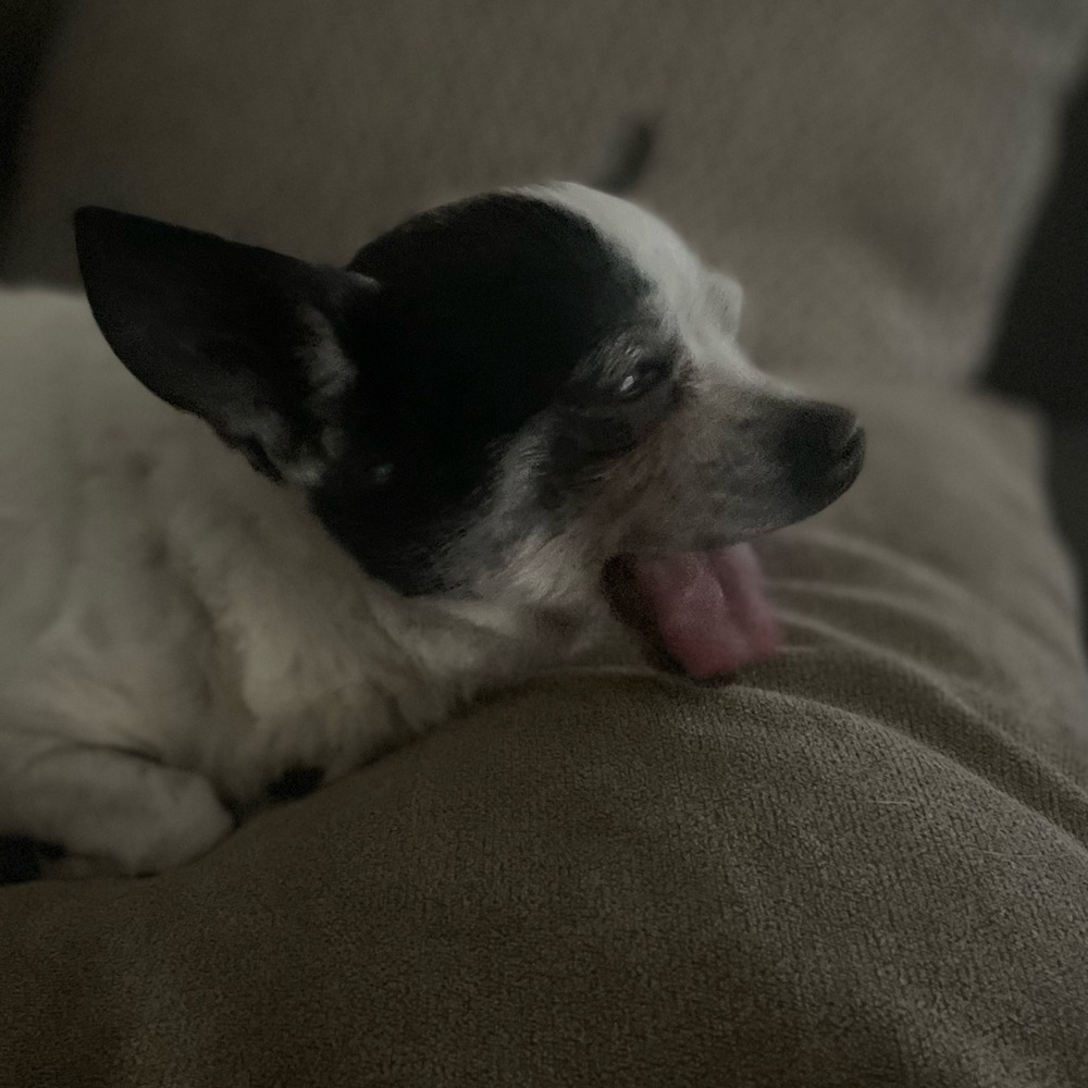 Meet your Posher, Heath